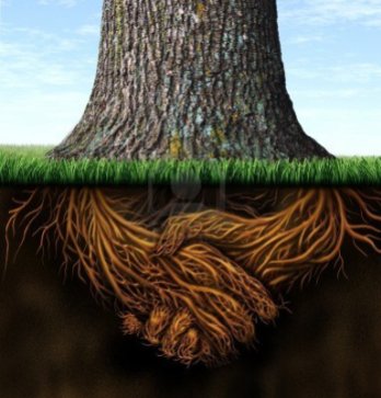 15491712-strong-deep-business-roots-as-a-tree-trunk-with-the-root-in-the-shape-of-a-hand-shake-as-a-symbol-of